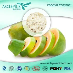 Nejlepší cena Vysoce čistý rostlinný extrakt Papaya Enzyme Powder Papain Enzyme